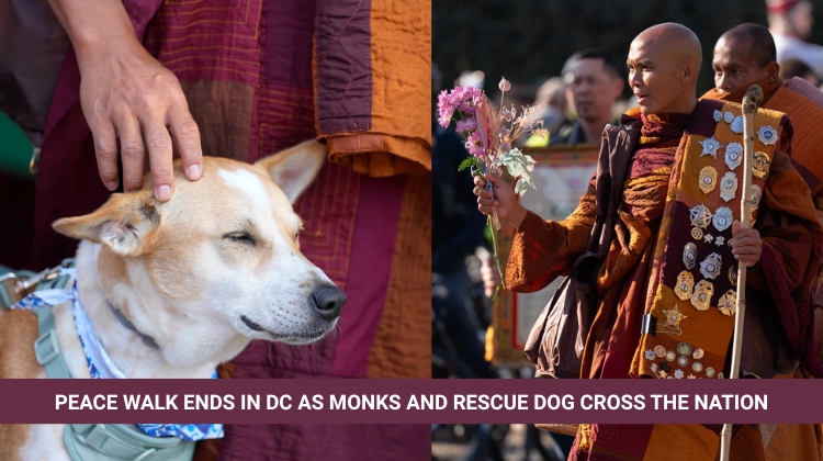 Peace Walk Ends in DC as Monks and Rescue Dog Cross the Nation